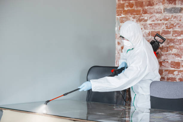 Mold Remediation for Vacation Homes in Olivarez, TX